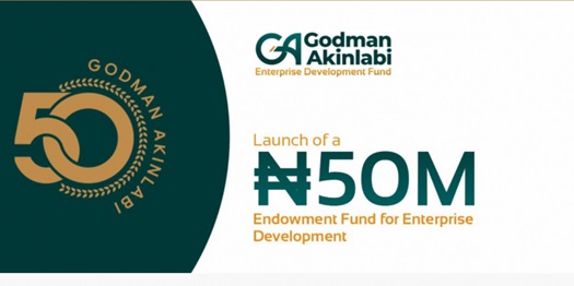 The Godman Akinlabi Enterprise Development Fund for SMEs (Up to N50 Million Grant) – How to Apply